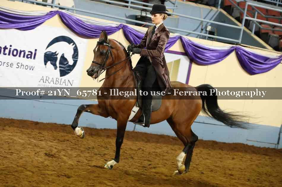 Proof Number 21YN_65781