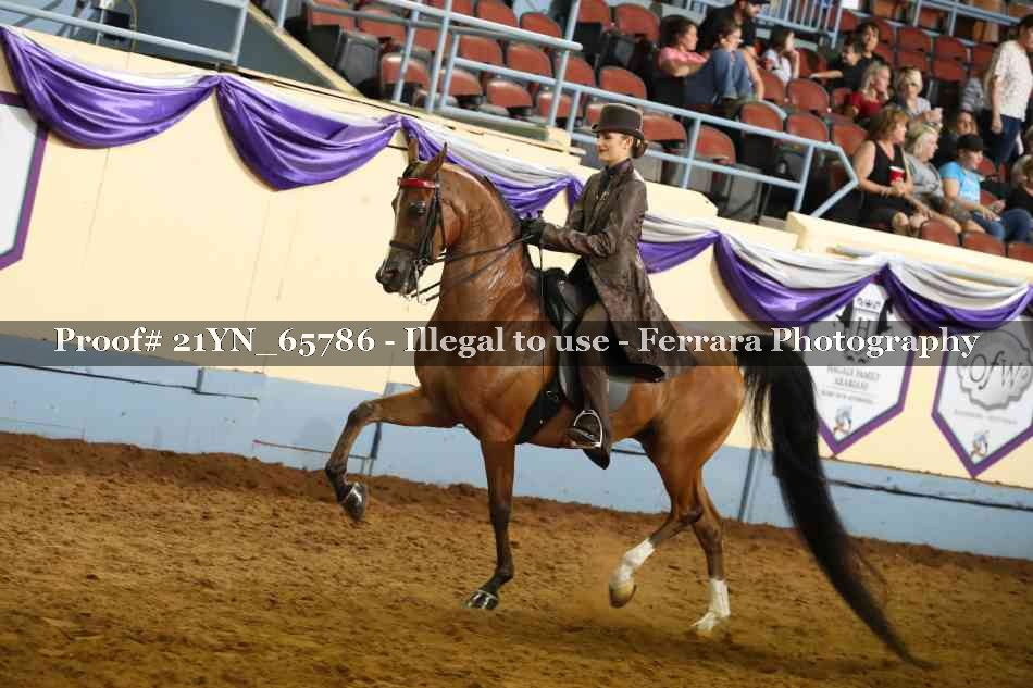Proof Number 21YN_65786
