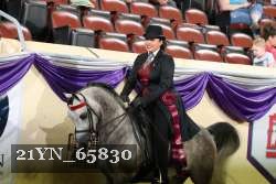 21YN_65830 thumbnail
