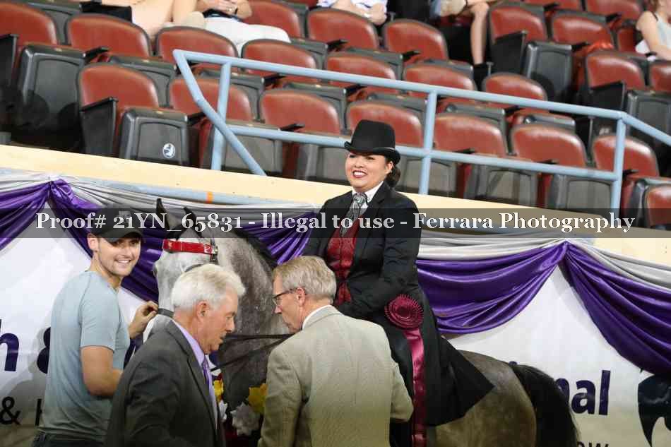Proof Number 21YN_65831