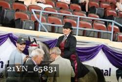 21YN_65831 thumbnail