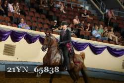 21YN_65838 thumbnail