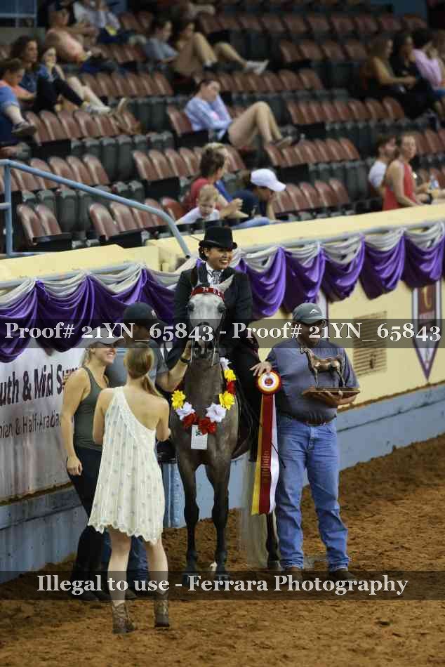Proof Number 21YN_65843