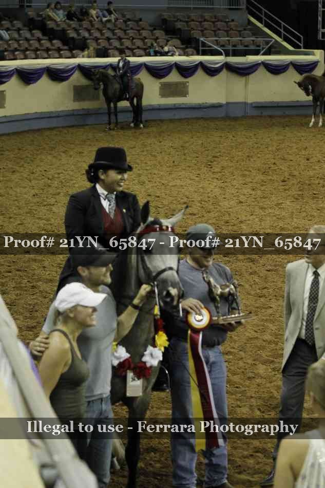 Proof Number 21YN_65847