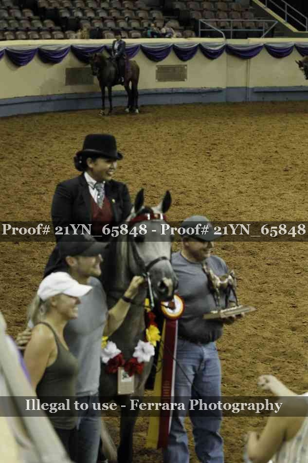 Proof Number 21YN_65848