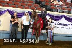 21YN_65854 thumbnail