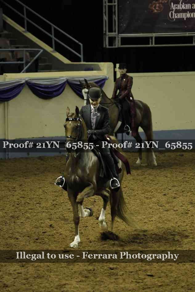Proof Number 21YN_65855