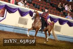 21YN_65859 thumbnail