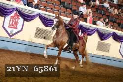 21YN_65861 thumbnail