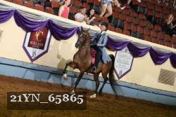 21YN_65865 thumbnail