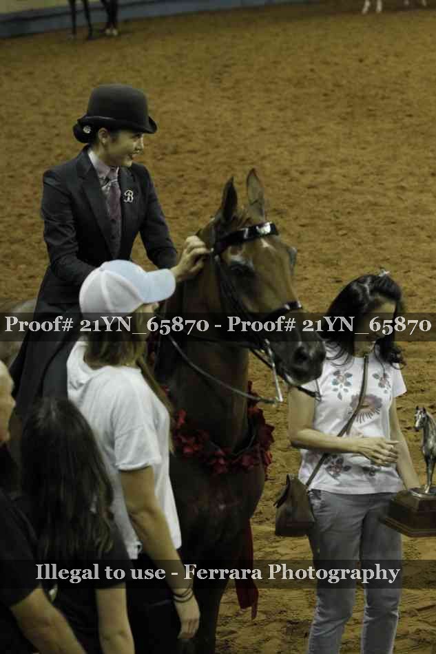 Proof Number 21YN_65870