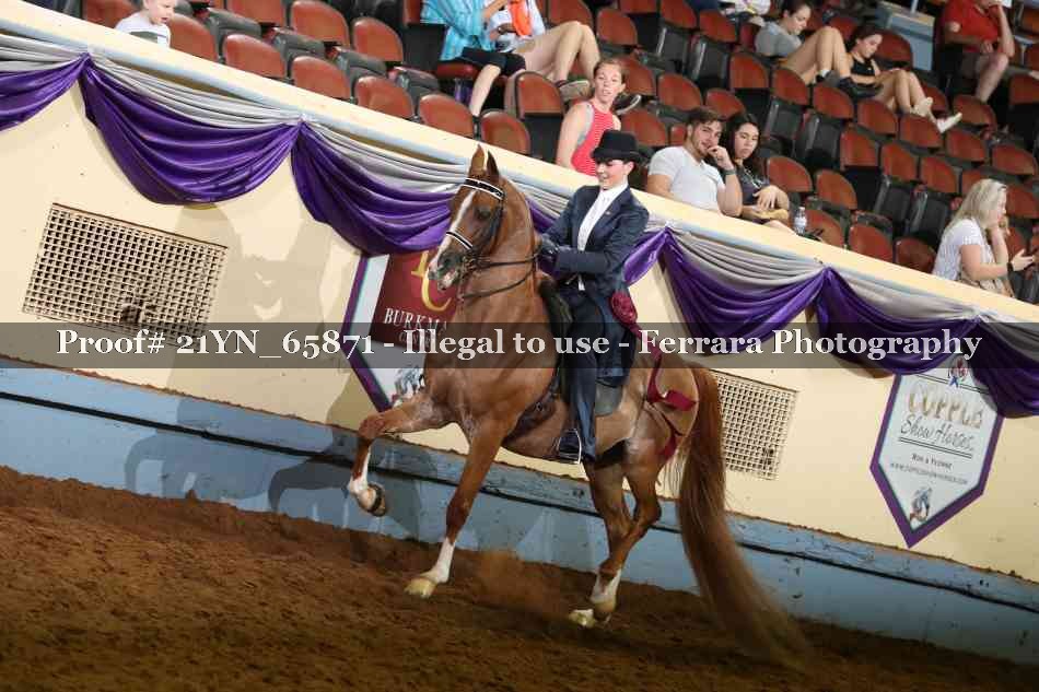 Proof Number 21YN_65871
