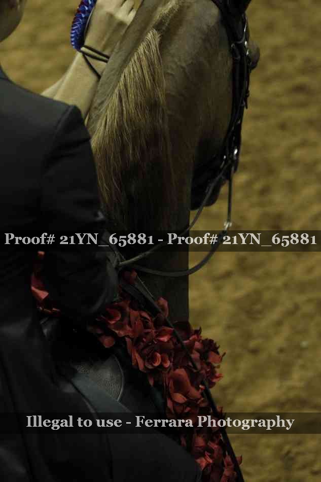 Proof Number 21YN_65881