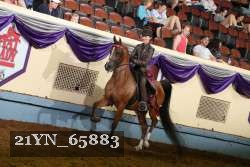 21YN_65883 thumbnail