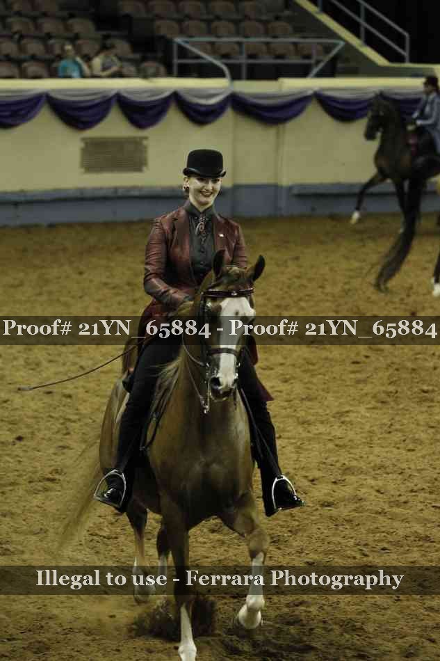 Proof Number 21YN_65884