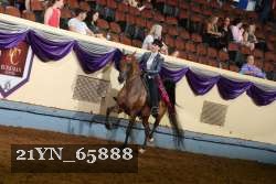 21YN_65888 thumbnail