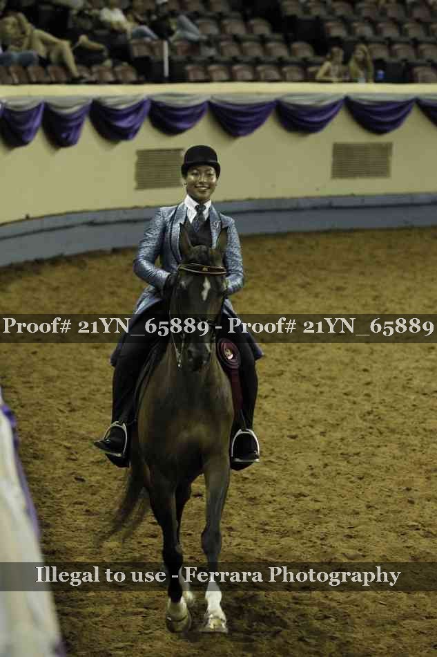 Proof Number 21YN_65889