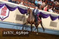21YN_65890 thumbnail