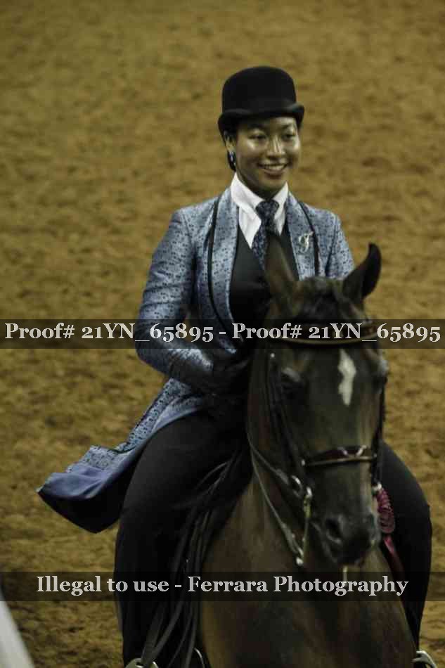 Proof Number 21YN_65895
