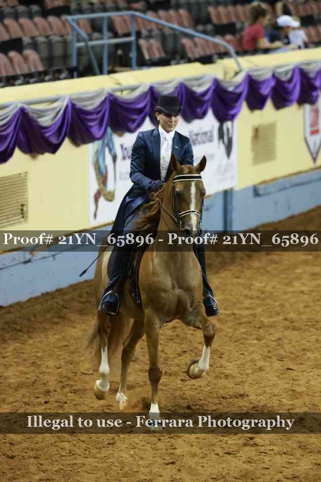 Proof Number 21YN_65896