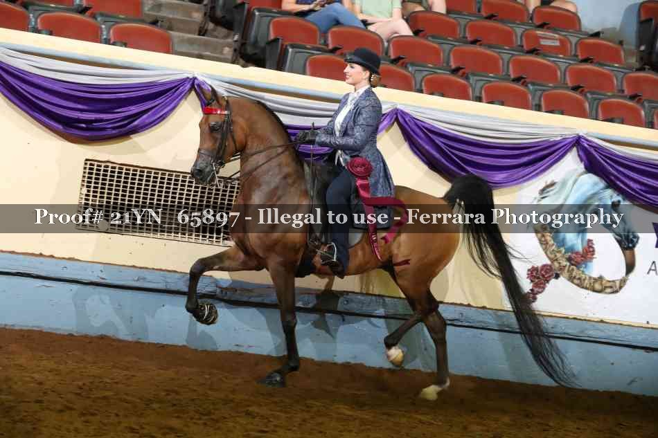 Proof Number 21YN_65897