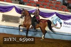 21YN_65902 thumbnail
