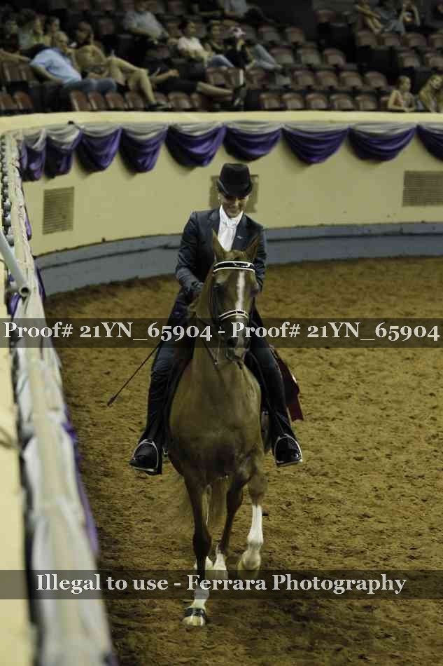 Proof Number 21YN_65904