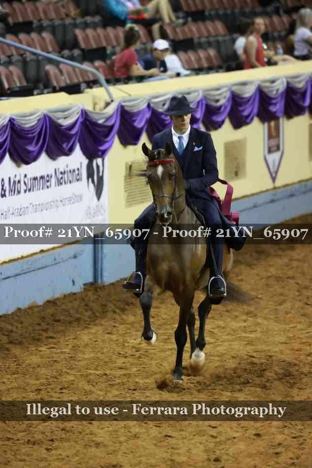 Proof Number 21YN_65907