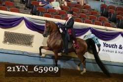 21YN_65909 thumbnail