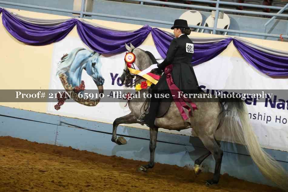 Proof Number 21YN_65910