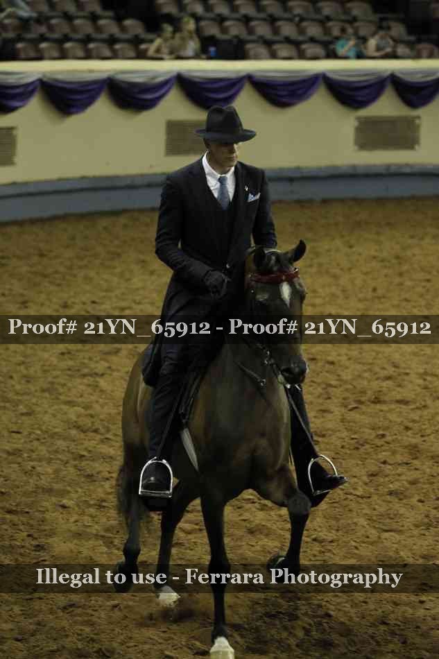 Proof Number 21YN_65912