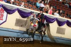 21YN_65918 thumbnail