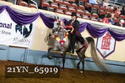 21YN_65919 thumbnail