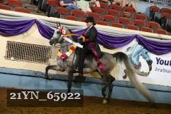 21YN_65922 thumbnail