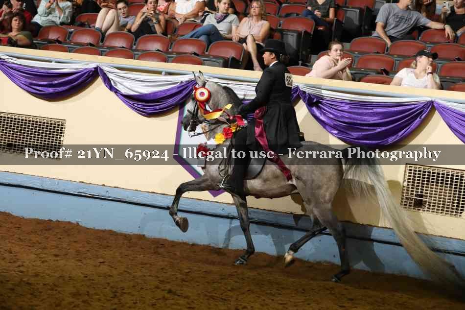 Proof Number 21YN_65924