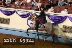 21YN_65924 thumbnail