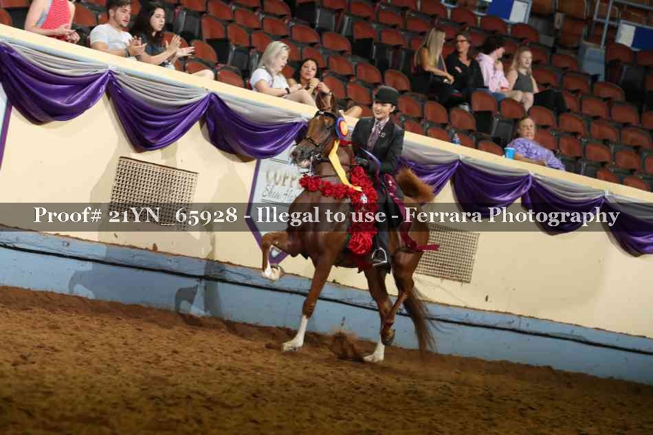 Proof Number 21YN_65928