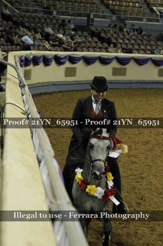Proof Number 21YN_65951
