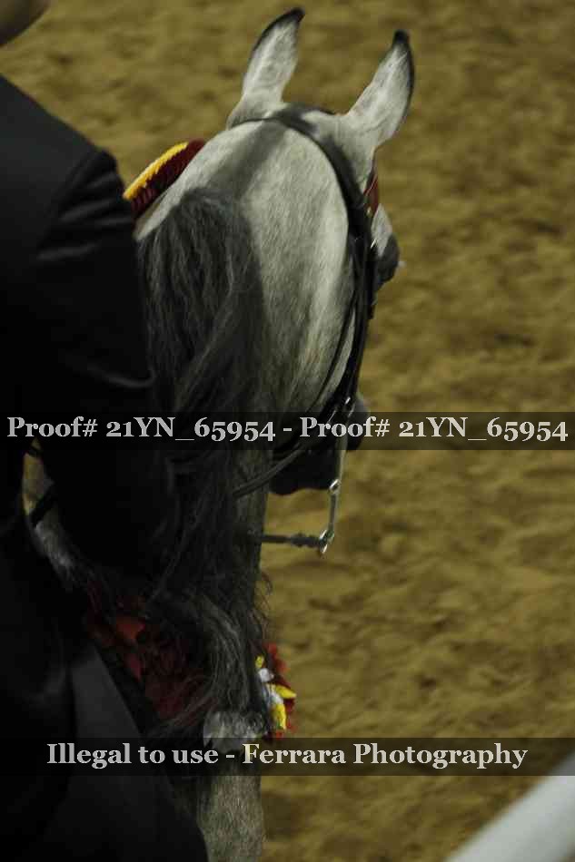 Proof Number 21YN_65954
