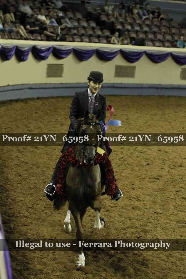 Proof Number 21YN_65958