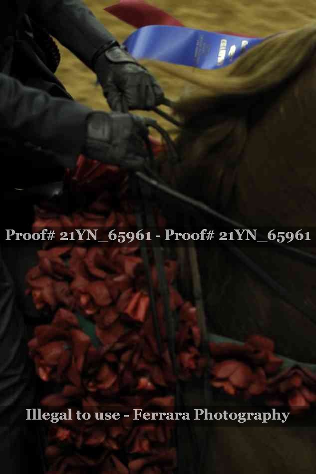 Proof Number 21YN_65961