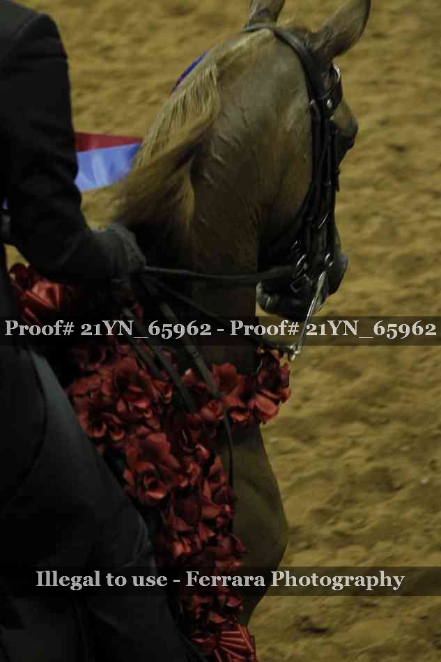 Proof Number 21YN_65962