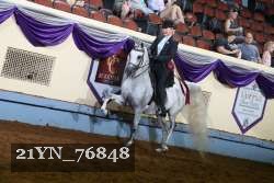 21YN_76848 thumbnail