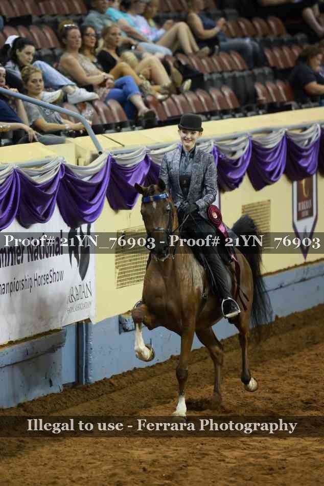 Proof Number 21YN_76903