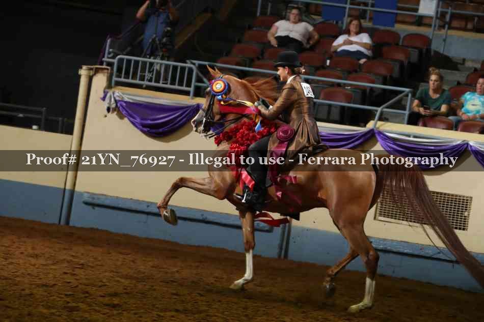Proof Number 21YN_76927