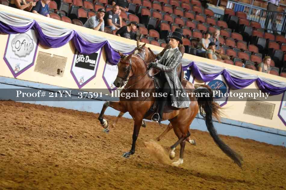Proof Number 21YN_37591