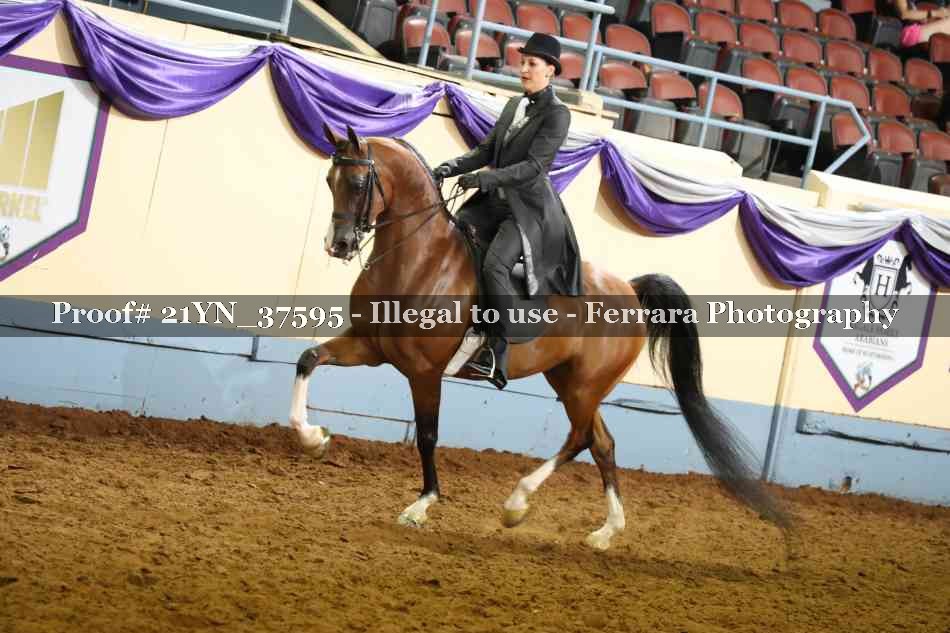 Proof Number 21YN_37595