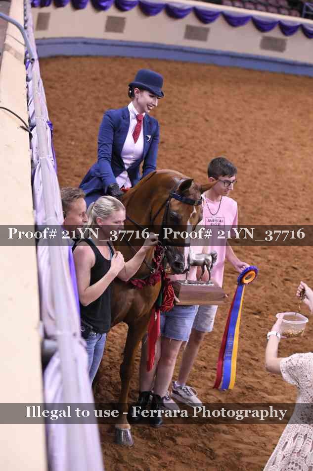 Proof Number 21YN_37716