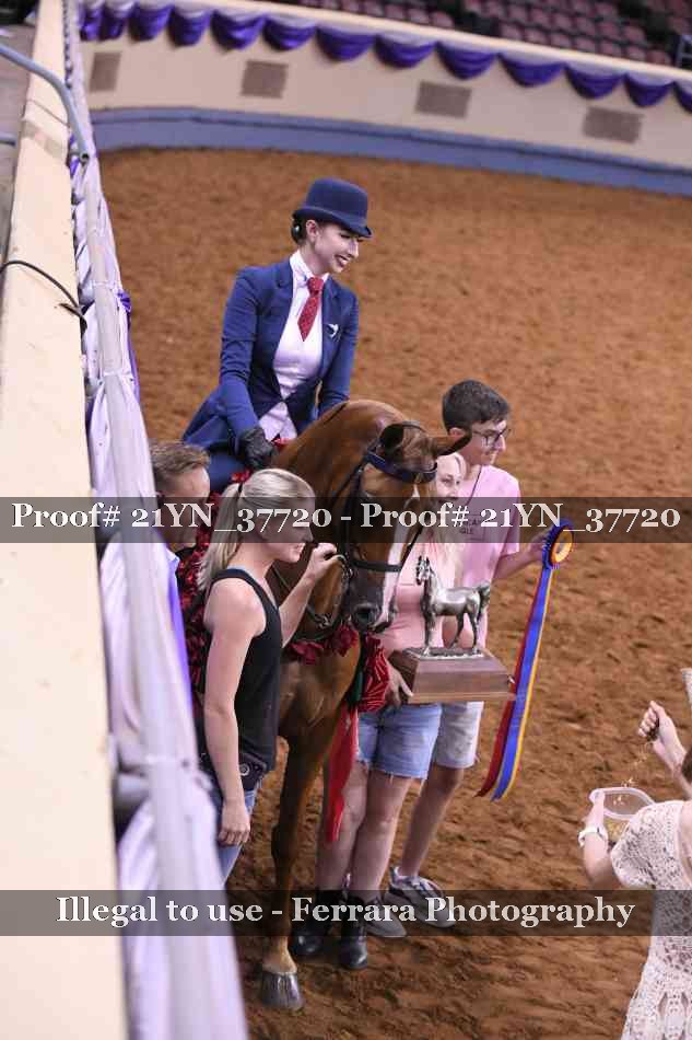 Proof Number 21YN_37720
