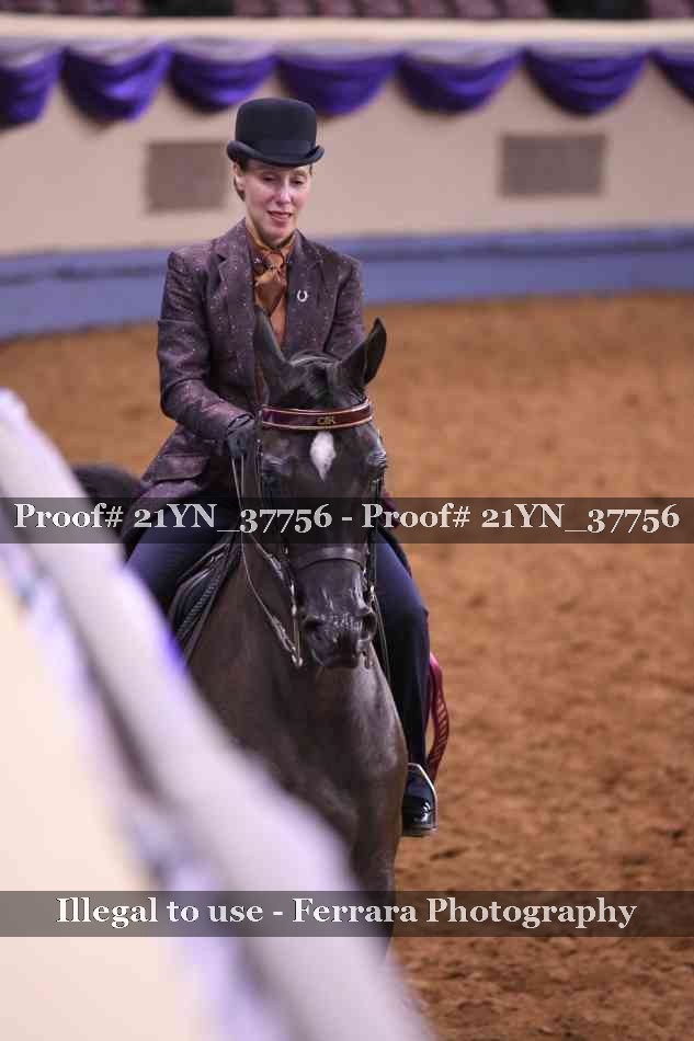 Proof Number 21YN_37756